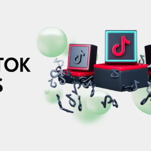 TikTok Ads Management